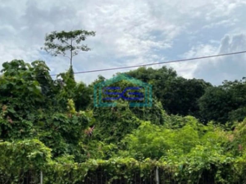 Disewakan Tanah Strategis di Jangli Raya Lebar 40 Meter Semarang LT 2700m2