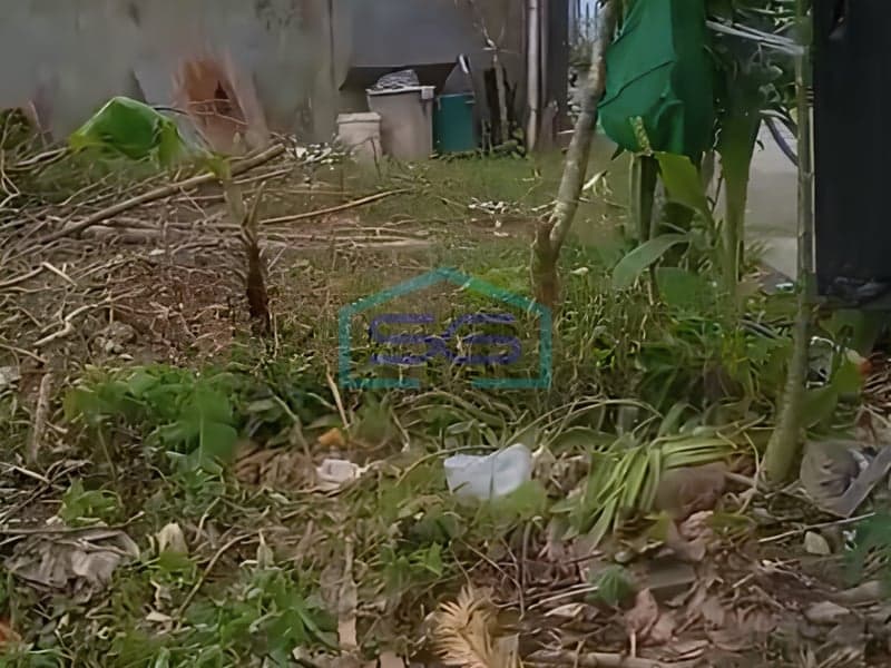 Land for Sale in Munggu Badung Bali Land Area 200 m²