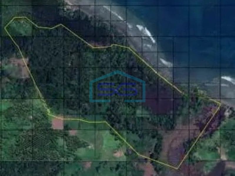 For Sale: 38ha Large Land in East Likupang, North Minahasa, North Sulawesi
