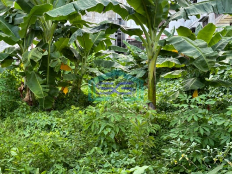 Dijual Tanah Pusat Kota Jalan Palembang Sumatera Selatan LT 1250m2