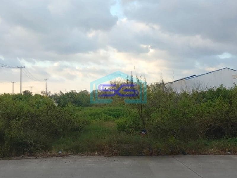 Disewakan Tanah Di Pattene Maros 10000M² Makassar SHM - Sertifikat Hak Milik