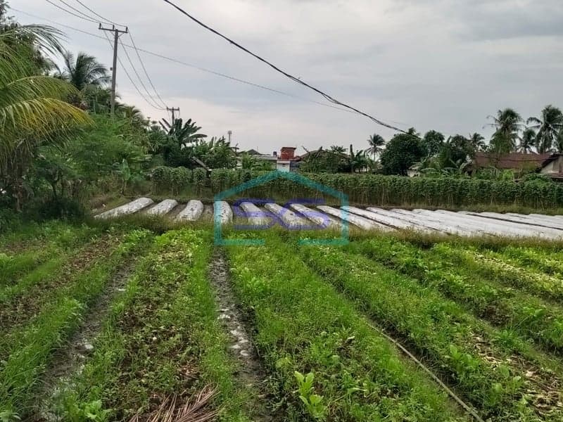 Dijual Tanah Keras Siap Pakai Sako, Kota Palembang, Sumatera Selatan Luas Tanah 7000 m²