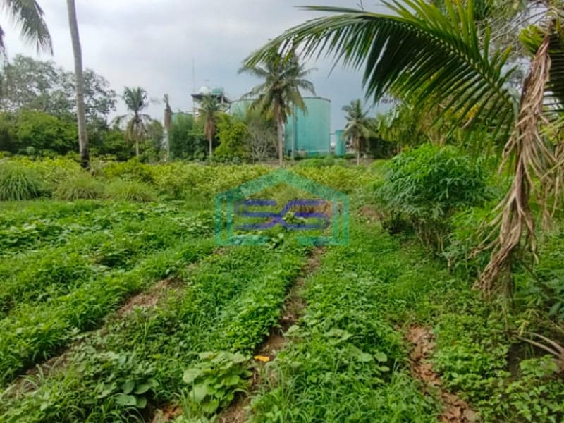 Dijual Strategis! Lahan Tanah di Samping Pabrik Talang Kelapa Banyuasin Sumatera Selatan LT 1 Ha