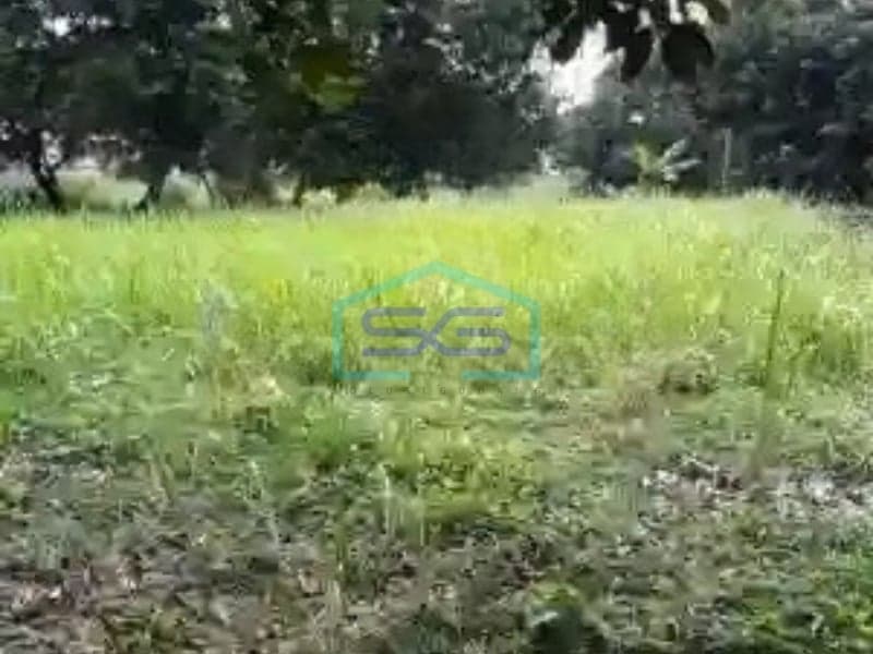 西爪哇茂物芝冷西战略性即用型土地出售 土地面积 5000 平方米