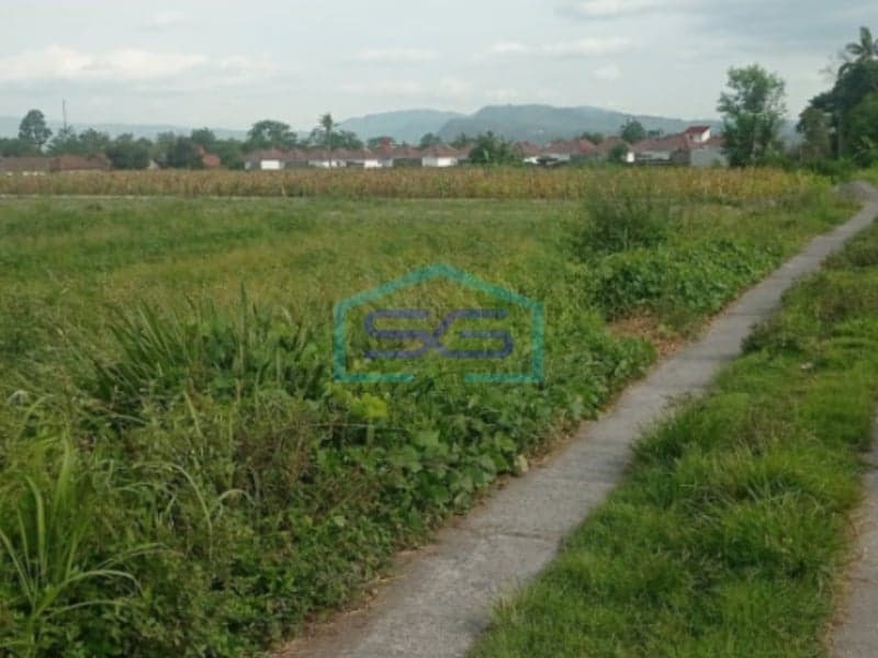 Dijual Tanah di Selomartani Kalasan, Sleman LT 4.800 m2