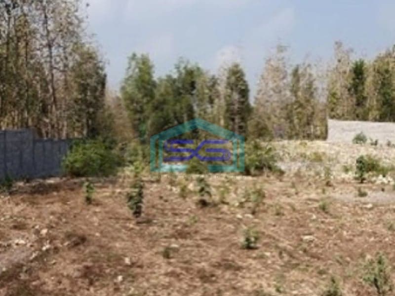 Dijual Tanah Pekarangan Luas 9.076 M2 Sentolo Kulon Progo Jogja