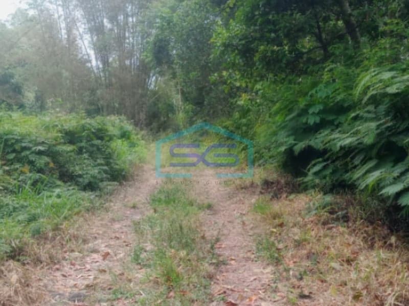 Dijual Tanah di Pakem Binangun, Sleman LT 25.000 m2