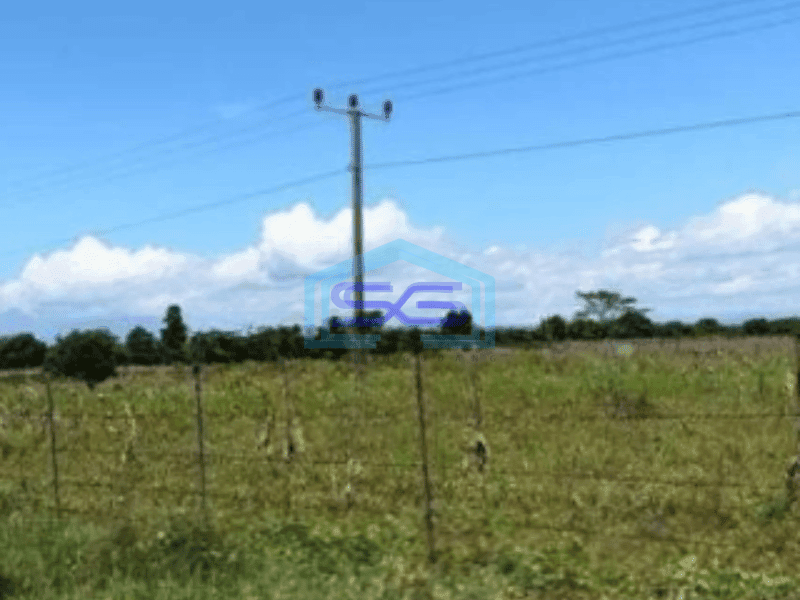Dijual Tanah Kertajati Desa Kertasari Blok Karet Luas Tanah 4622m2