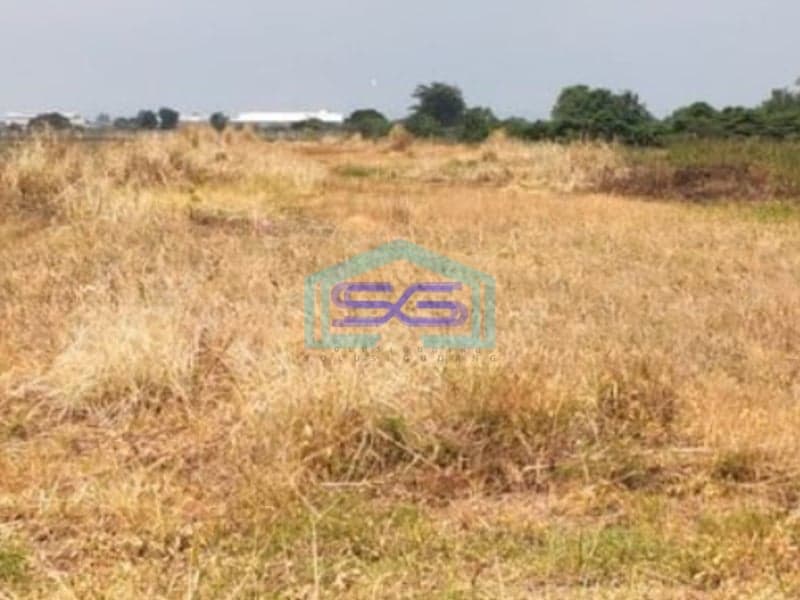 Disewakan Tanah Luas 5000 m² Lokasi Sidoarjo Jawa Timur