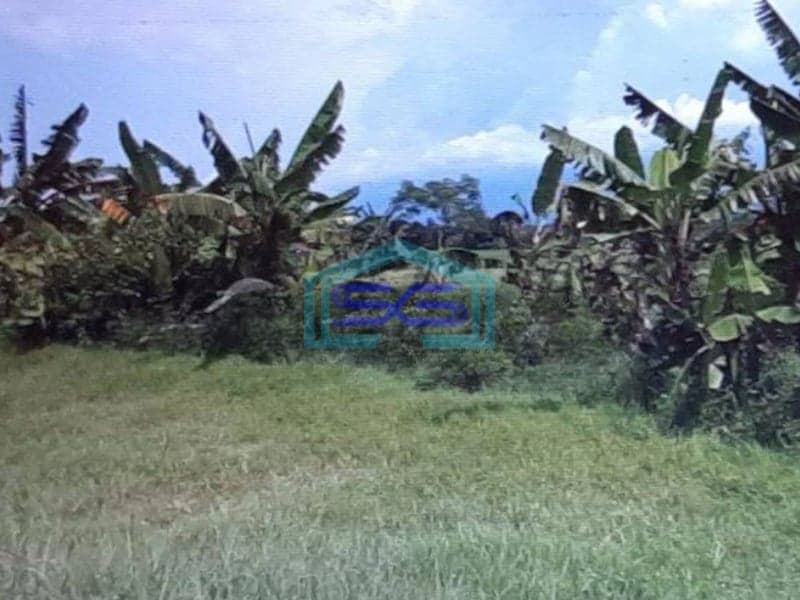 Dijual Tanah Lokasi Strategis Pinggir Jalan Pasuruan LT 280800m2