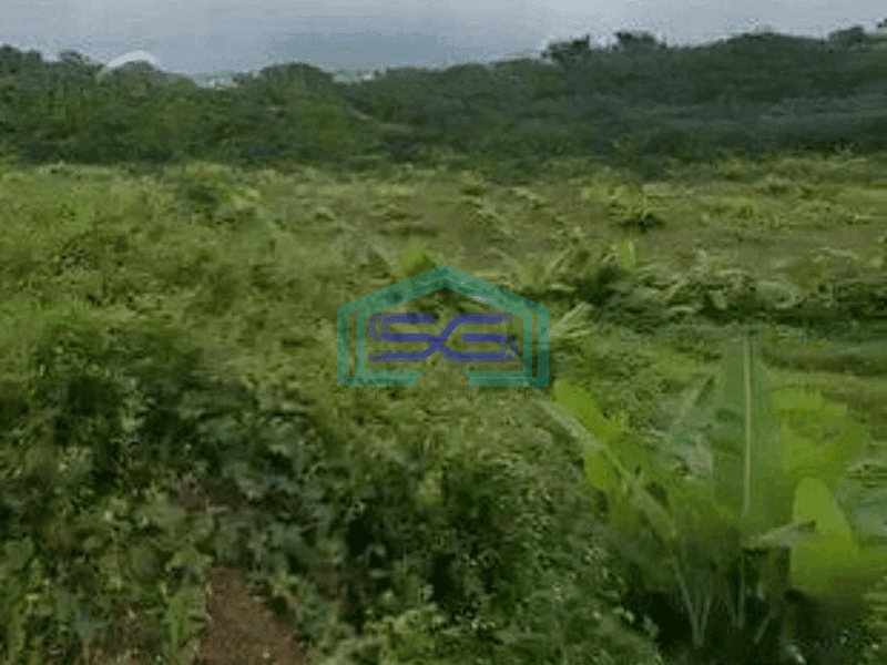 Dijual Tanah 3,6 hektar di Sadeng Gunung Pati, Semarang