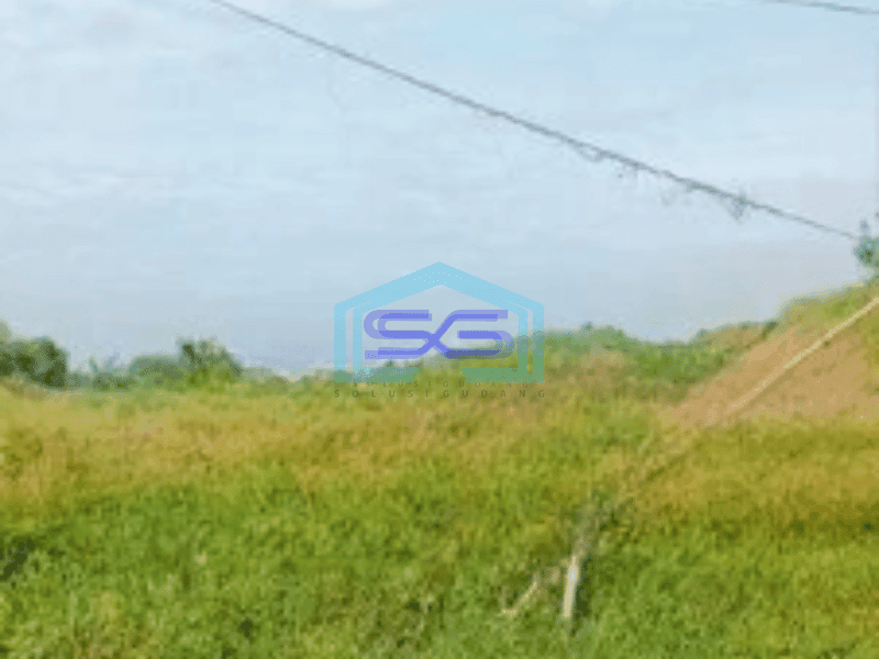 Dijual Tanah Luas 600000 m² Lokasi Strategis di Karawang Timur