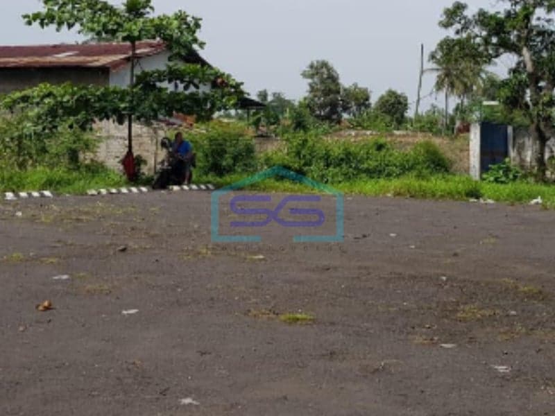 Disewakan Tanah Luas 5000 m2 Lokasi di Cianjur Jawa Barat