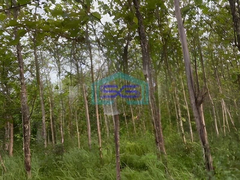 Dijual Tanah di Gunung Kidul Wonosari Kec Ngawen Gunung Kidul Yogyakarta LT 4881m2