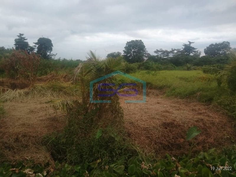 Dijual Lahan Tanah Talang Keramat Banyuasin Sumatera Selatan Luas 60000m2