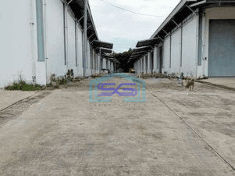 Disewa Gudang Baru LB 5500 m² di Jl Diklat Pemda, Bojong Nangka, Tangerang
