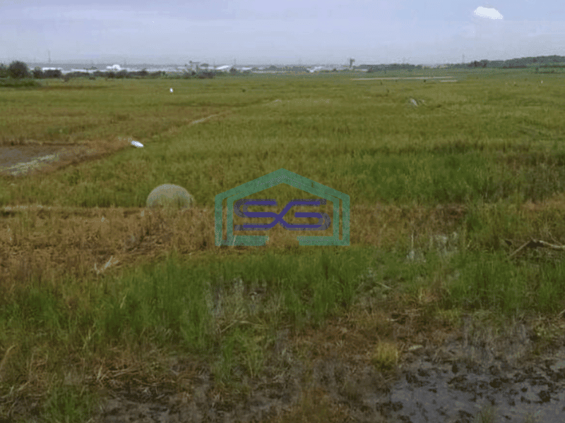 Dijual Tanah Industri Dekat Kawasan Industri Surya Cipta Karawang LT 43000m2