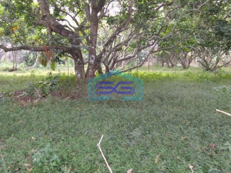 Dijual Tanah di Daerah Kutruk Tigaraksa Tangerang Dipinggir Jalan LT 6300m2