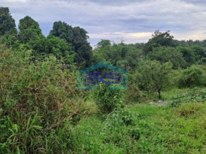 Dijual Tanah Di Gunung Sindur Bogor Luas Tanah 8000m2