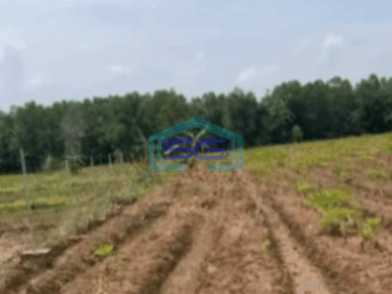 Dijual Tanah Kawasan Kertajati Jawa Barat Luas 30000m²