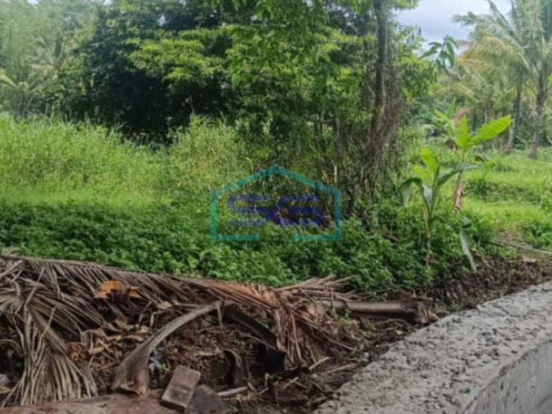 Dijual Tanah di Hargobinangun Pakem, Sleman LT 10.000 m2