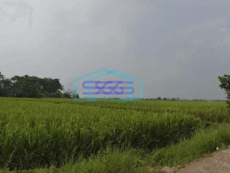 Dijual Kavling Bisa Untuk Perumahan Dan Gudang di Kawasan Nanjung