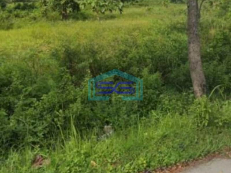Dijual Lahan Tanah Zona Industri Strategis Sumberlawang Sragen Jawa Tengah Luas 3 Ha