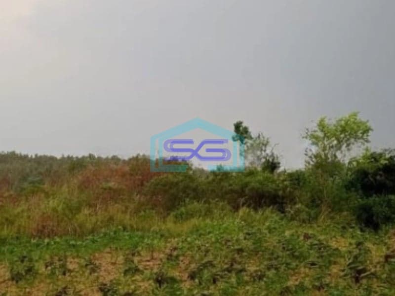 Dijual Tanah Lokasi Bagus Desa Pabuaran Sukamakmur Bogor Luas Tanah 20000m2