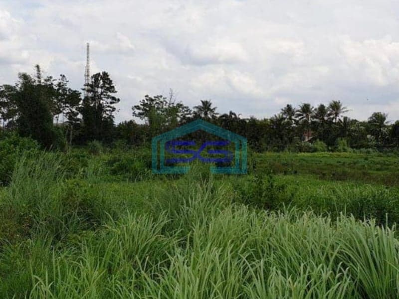 Dijual Tanah di Daerah Industri Pergudangan Gunung Sindur Bogor LT 11000m2