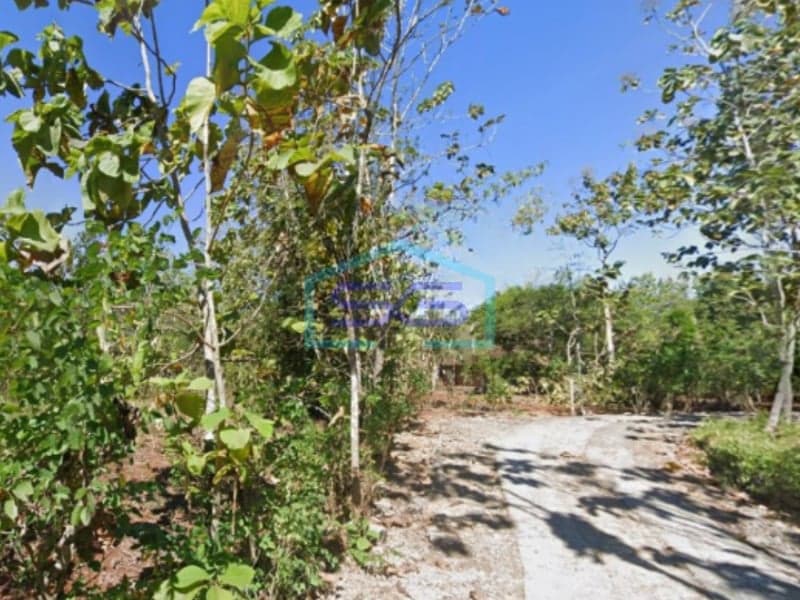 Dijual Tanah Tegalan di Watudalang, Bendungan, Karangmojo, Gunung Kidul Yogyakarta LT 914m2