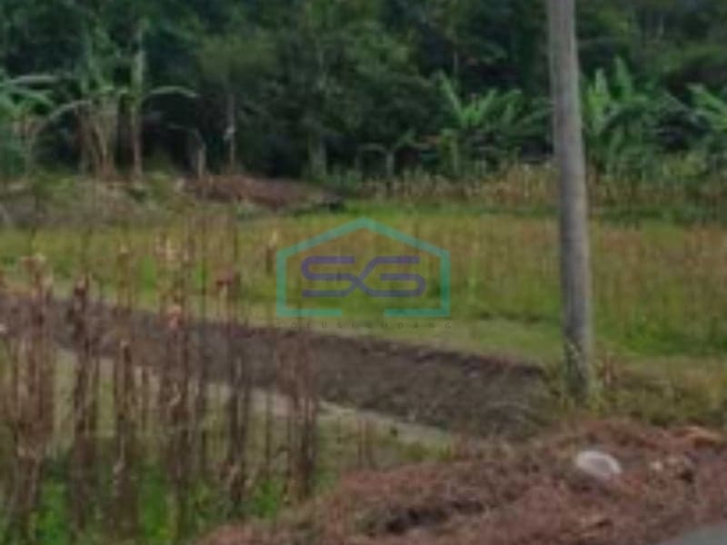 Dijual Tanah Luas 20 Hektar di Boyolali Jawa Tengah Bebas Banjir
