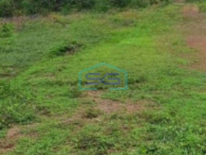 Dijual Tanah Luas 57554 m² Lokasi di Citeureup Bogor