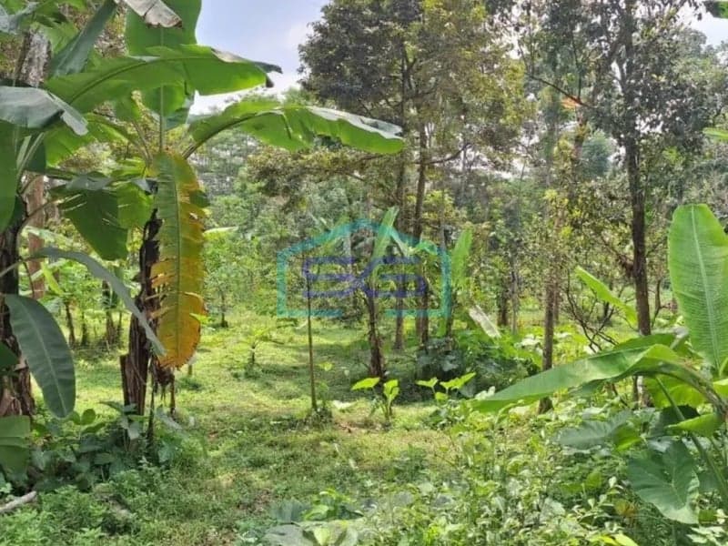 Strategic Land for Sale in Bawen Semarang Central Java Land Area 4440 m²