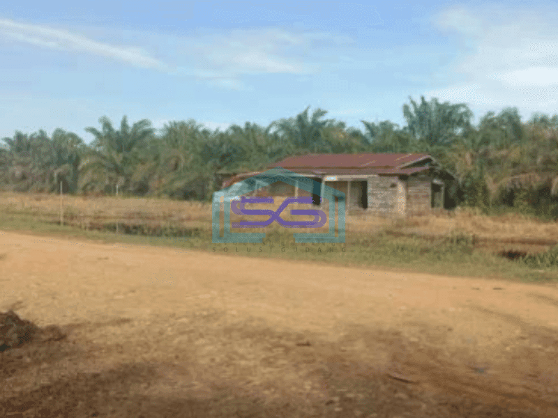 Dijual Tanah Kebun Sawit 550Ha Di Rokan Hilir Riau