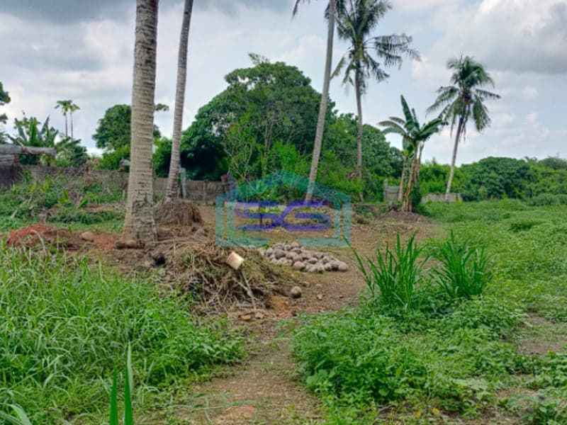 Dijual Tanah Strategis di Jalan Talang Buruk, Alang Alang Lebar Palembang Luas 2 Ha