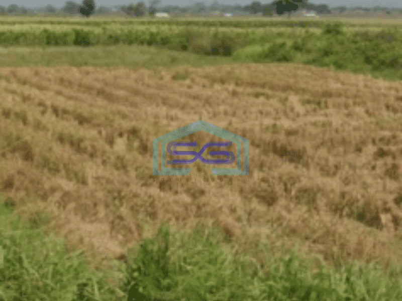 Dijual Tanah Di Jalan Kanci Astanajapura Dekat Tol Kanci Cirebon