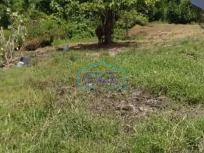 Prime Affordable Land for Sale in Canggu Badung Bali 2700sqm