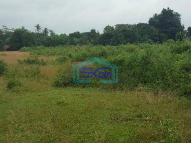 Dijual Tanah di Maloko Dangdang Cisauk Tangerang LT 10000m2
