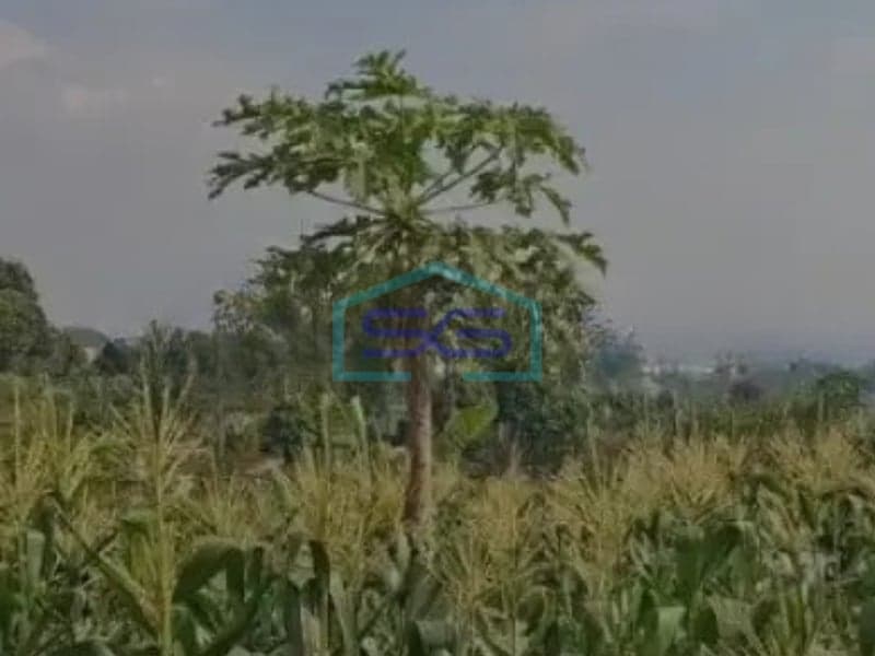 Dijual Murah Tanah Luas Bisa Bangun di Bandung Jawa Barat Luas Tanah 1331 m²