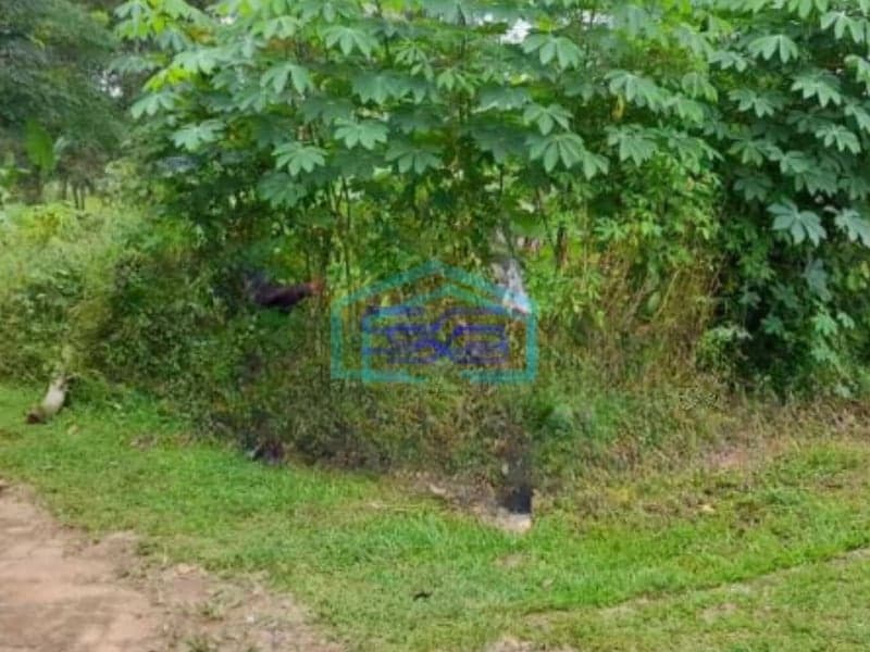 Dijual Tanah Luas  31633 m² Lokasi Pinggir Jalan Utama Cisoka Tangerang