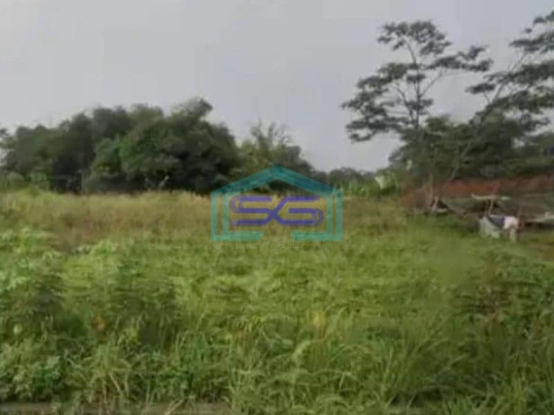 Dijual Kavling Luas di Pinggir Jalan Provinsi Bogor