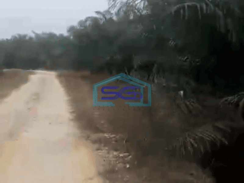 Dijual Tanah Kebun Sawit 200ha Di Siak Riau