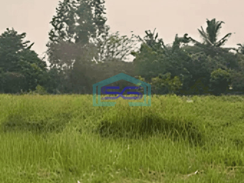 Dijual Tanah Kawasan Balaraja Tangerang Luas Tanah 10750m2