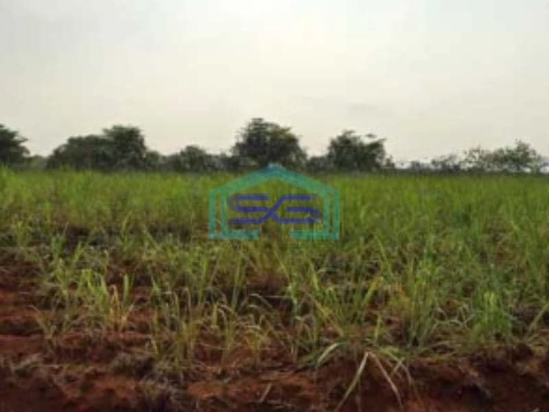 Dijual Tanah Dalam Zona Industri Lokasi Mayong Jepara Tengah Luas 35000m2