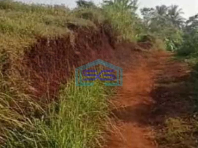 Dijual Tanah Strategis di Puncak Guha Garut Selatan Luas Tanah  50000 m²