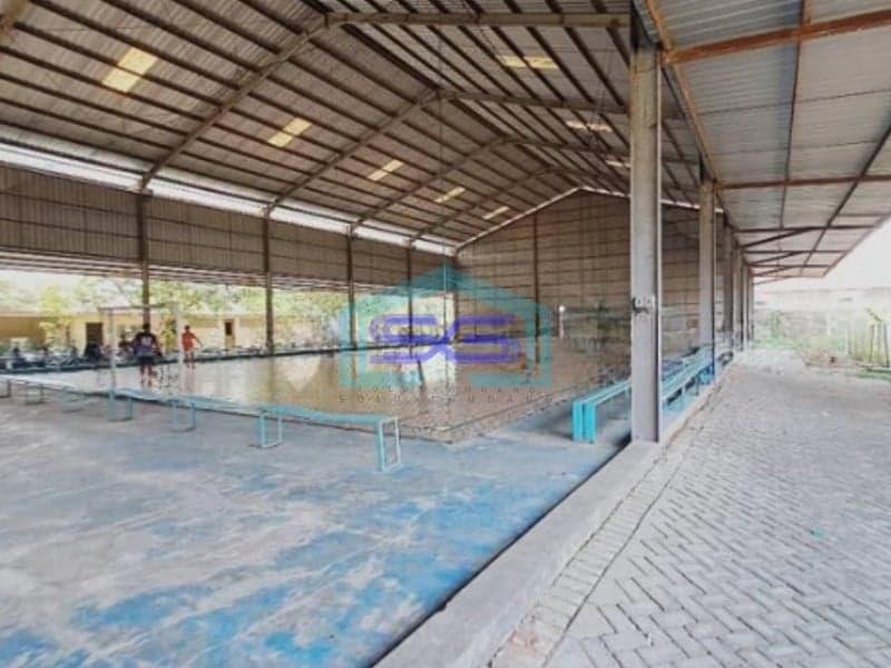 Dijual Tanah Bonus Gudang Luas Tanah 4991m2 Kapas Bojonegoro Jawa Timur