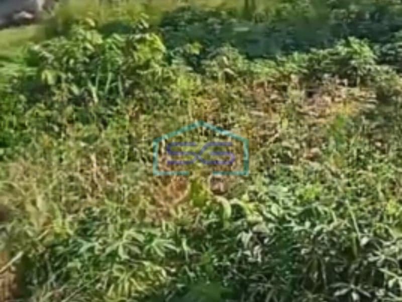 For Sale Land 5000 m² Flood-Free in Gunung Sindur Bogor