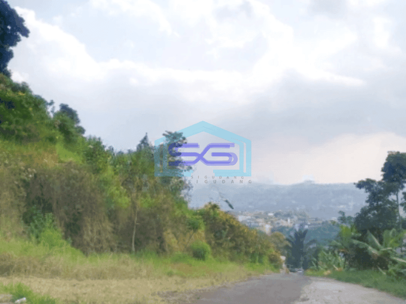 Dijual Tanah Bojong Koneng Dekat Proyek Intiland Mayapada Luas Tanah 10000m2