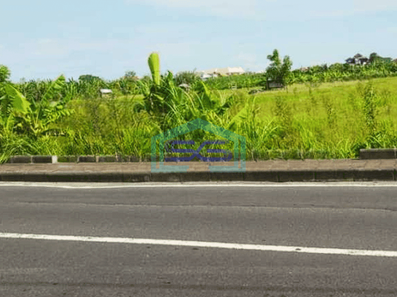 Disewakan Tanah Komersil Strategis Jalan Utama Seminyak Badung Bali LT 3850m2