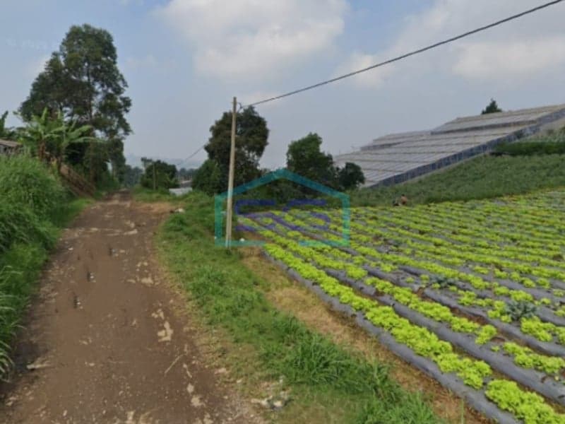 Dijual Tanah di Lembang, Bandung Barat LT 4.886 m2